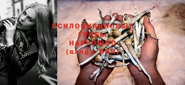 молекула духа Майский