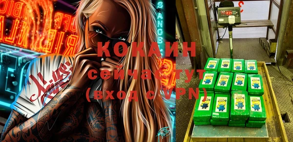 шишки Магадан