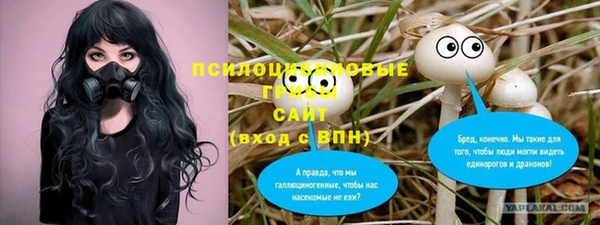 шишки Магадан