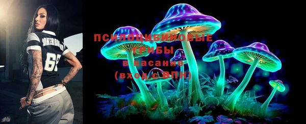 дживик Медногорск