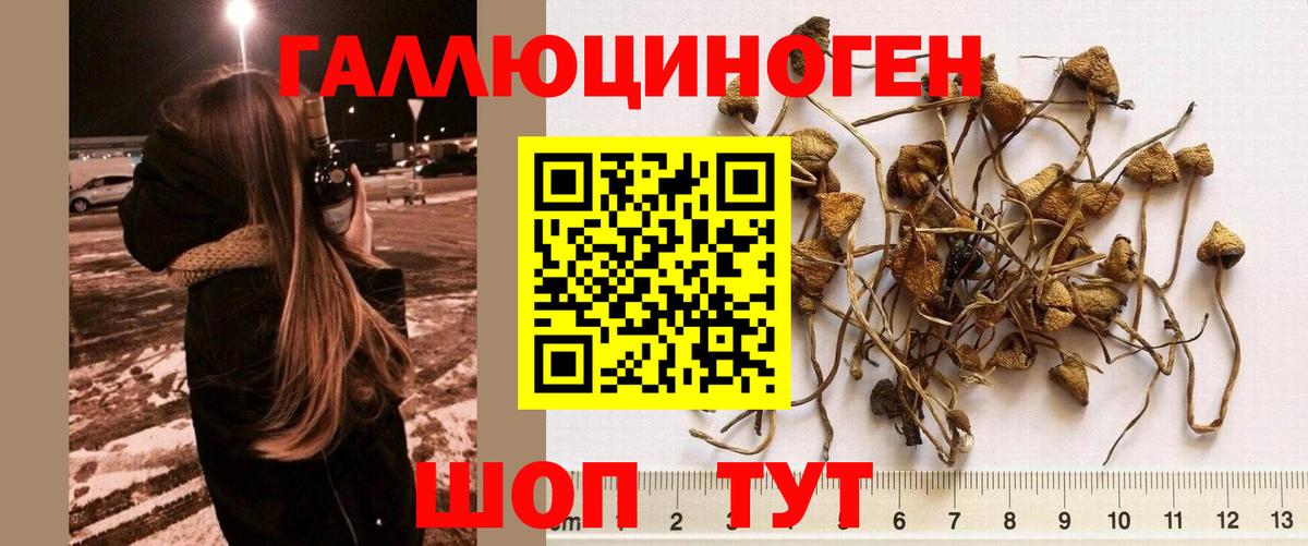 Южноуральск  Галлюциногенные грибы прущие грибы  Вход с VPN 